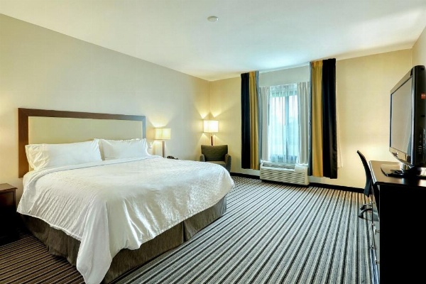 Holiday Inn Express and Suites Batavia by IHG image 13
