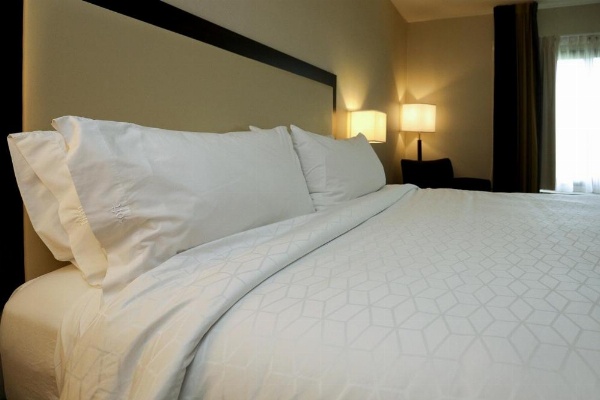 Holiday Inn Express and Suites Batavia by IHG image 21
