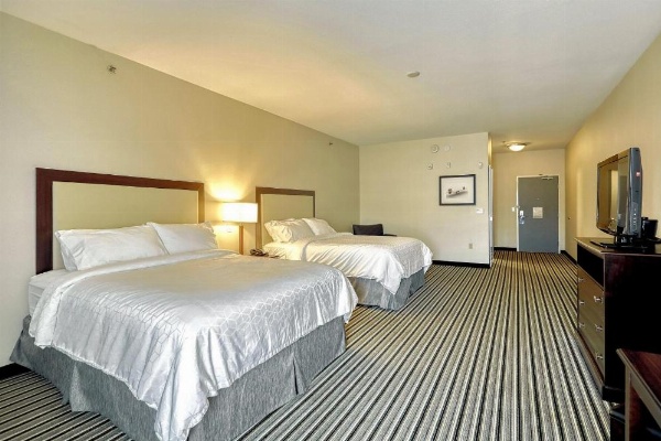 Holiday Inn Express and Suites Batavia by IHG image 36